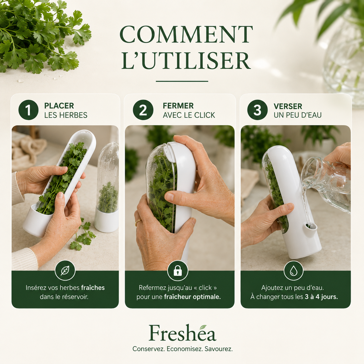 Conservateur d'aromates pour prolonger la fraîcheur