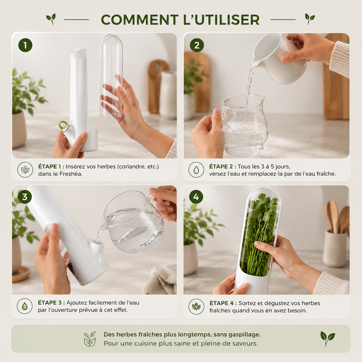 Conservateur d'aromates pour prolonger la fraîcheur