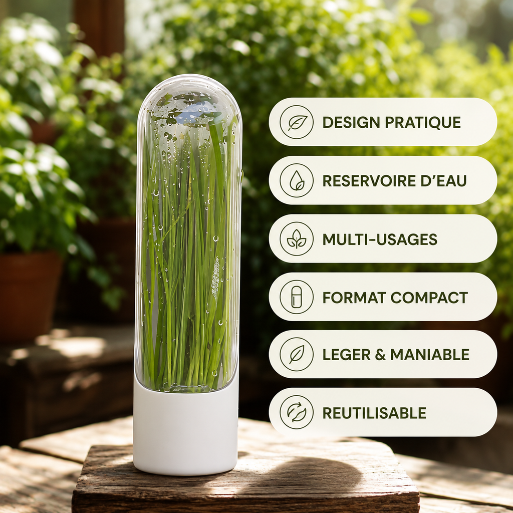 Conservateur d'aromates pour prolonger la fraîcheur