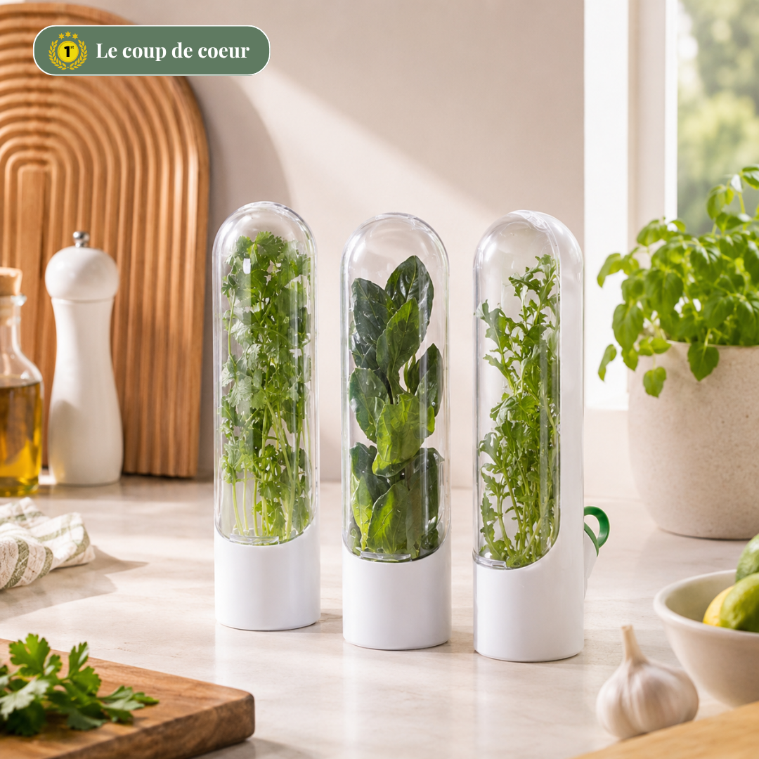 Conservateur d'aromates pour prolonger la fraîcheur